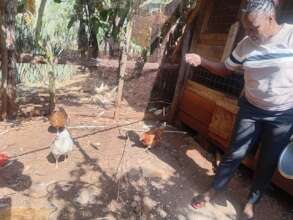 Delfina Karimi in her poultry farm, Mituntu