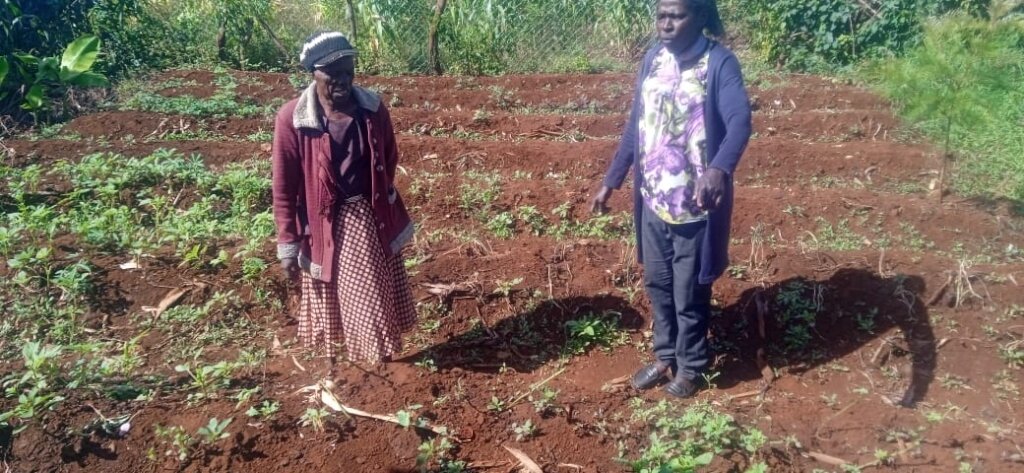 Gakethi with ABD Mary at her kitchen garden,Ugunja