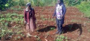 Gakethi with ABD Mary at her kitchen garden,Ugunja