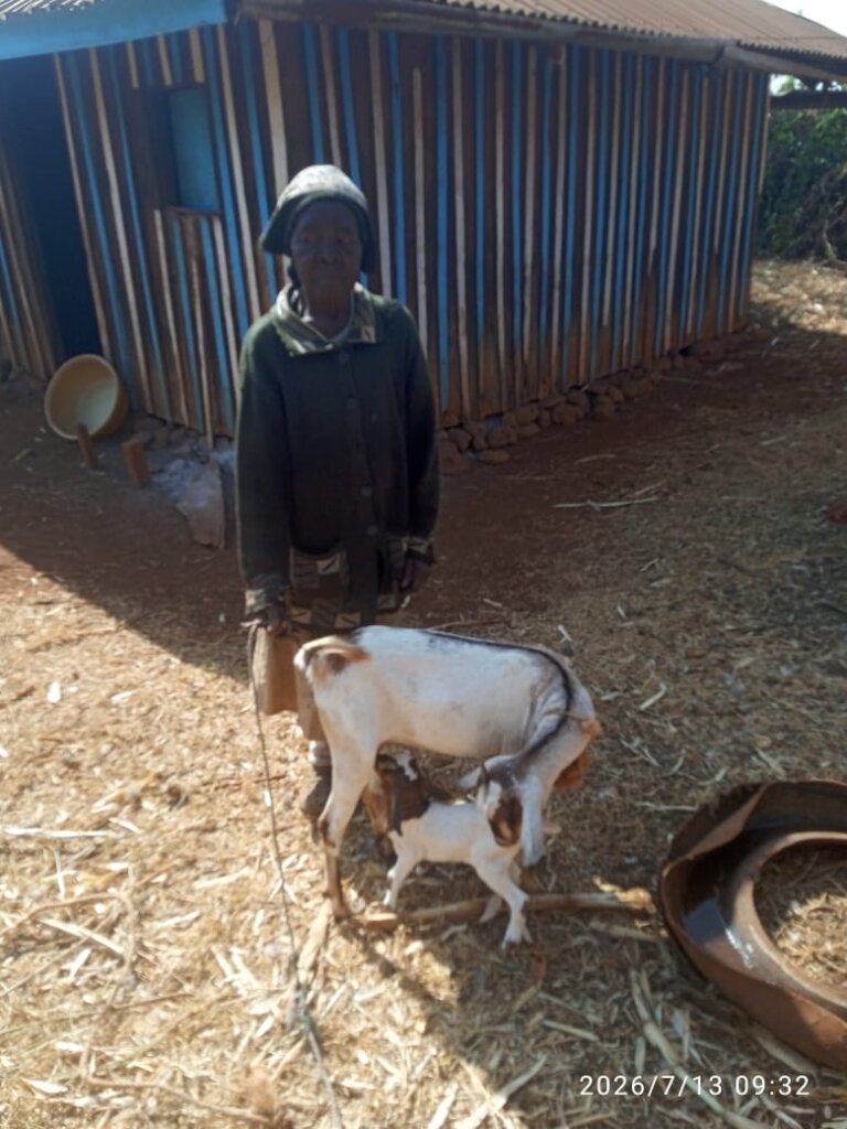 Martha Thirindi with her goats, Mituntu