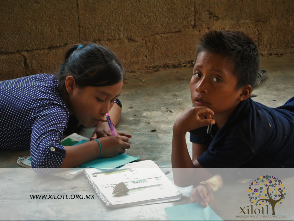 Migration: roots of belonging in Lacandon Jungle