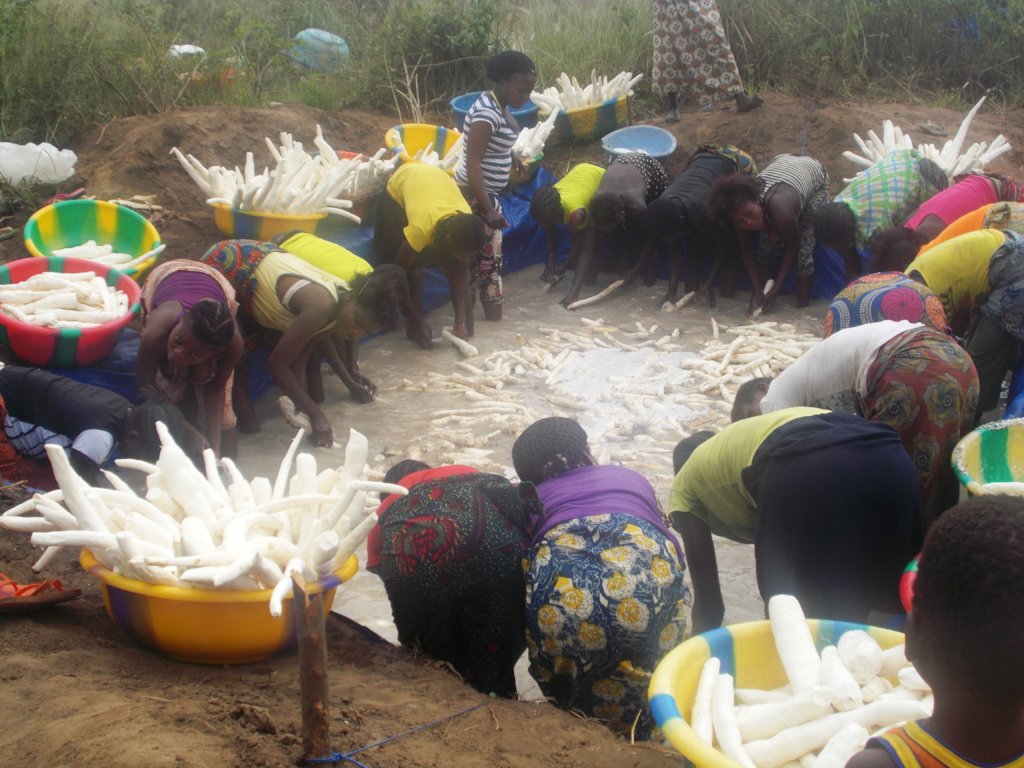 Fight against agricultural land degradation