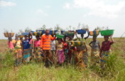 Fight against agricultural land degradation