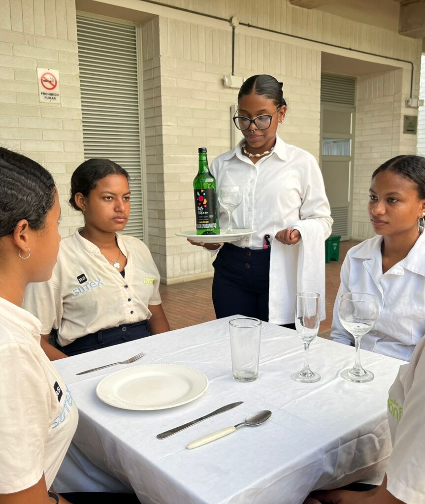 Sustainable Employment for Long-term Inclusion