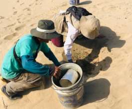 Planting in Santonte