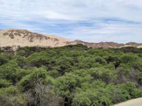 Research visit in Canoncillo Forest