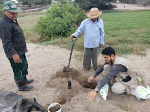 Reforestation campaign in Jequetepeque.