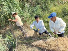 Local craftswomen harvest non-wood craft resources