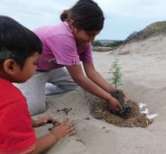 Reforestation Activities with beneficiaries, Nov