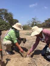 Reforestation campaign, November 2022