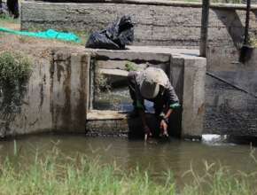 Seed cleaning March 2022