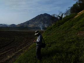 Forest patrolling visits are tracked with GPS.