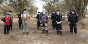 Reforestation with the municipality of Pacasmayo