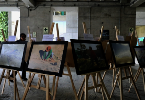 Conservation images on display at the Exhibition