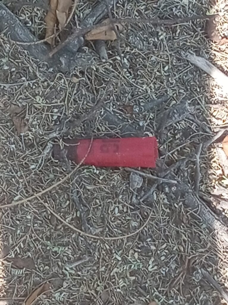 They also found signs of hunting in the forest.