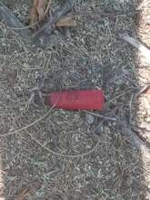 They also found signs of hunting in the forest.