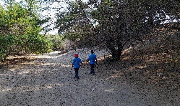 Forest Patrols in Canoncillo y Tronco Prieto