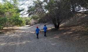 Forest Patrols in Canoncillo y Tronco Prieto