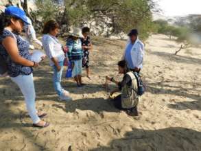 Community monitoring in reforested areas