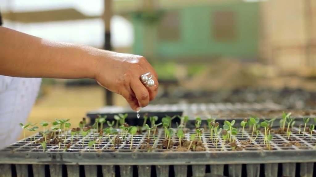 Help communities to conserve Peru's Dry Forests