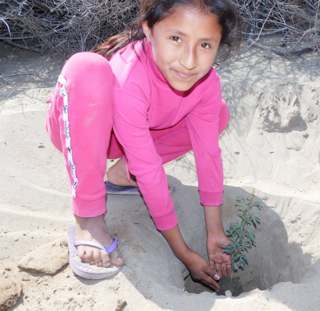 Help communities to conserve Peru's Dry Forests