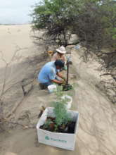 Community based Dry Forest Reforestation