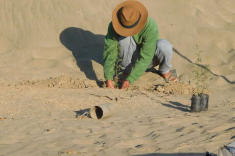 Help communities to conserve Peru's Dry Forests