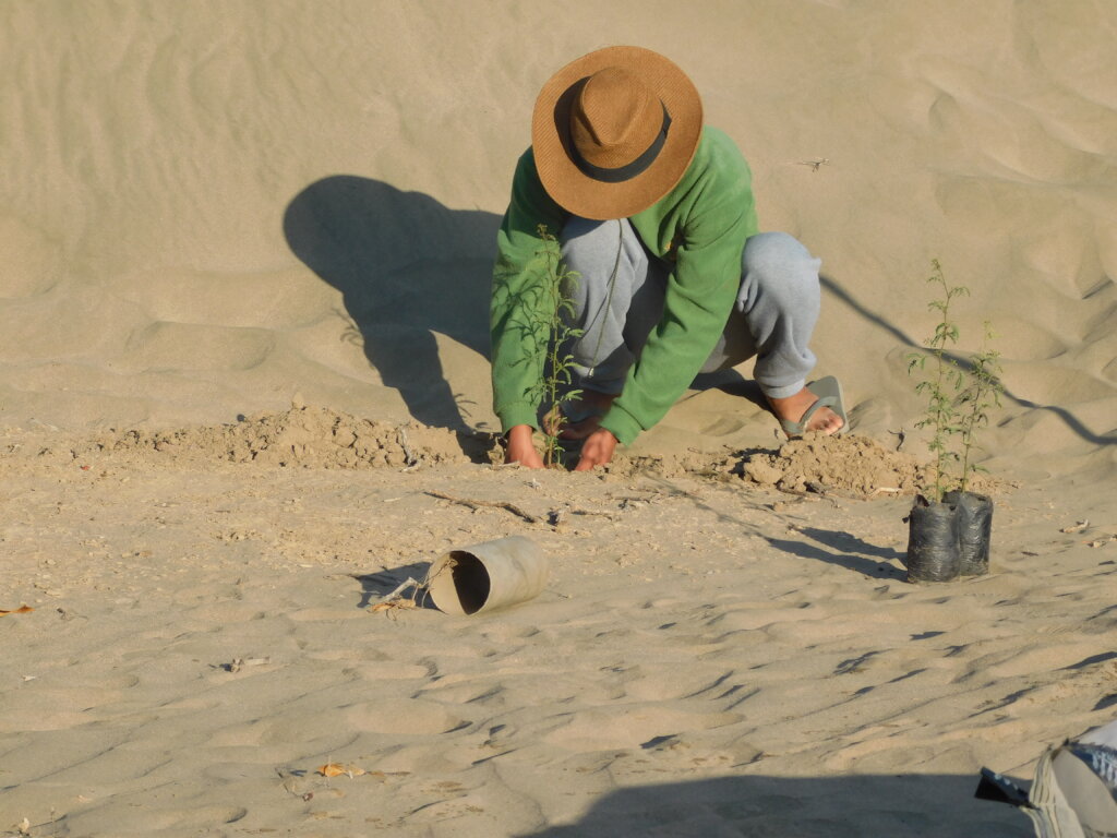 Help communities to conserve Peru's Dry Forests