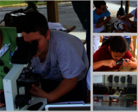 DAY IN THE LIFE OF A SCIENTIST (DILOS)