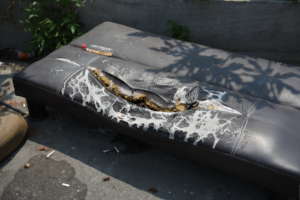 broken sofa but they still use it.
