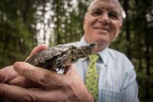 Zoo Director Don Moore with a western pond turtle