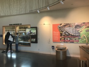 Species Conservation Lab in the Education Center