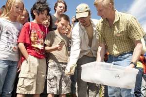 Releasing Turtles