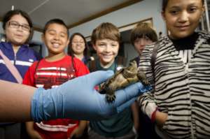 Students in the conservation lab
