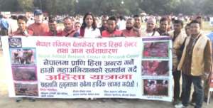 Protest Against Animal Sacrifice