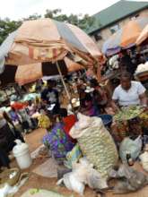 Inwelle Centre Maid Strong Advocacy in the Market