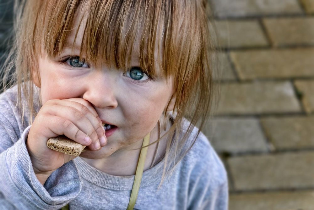 Send a Child to School in Romania for a Year