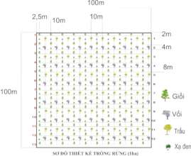 Design of the restoration plot