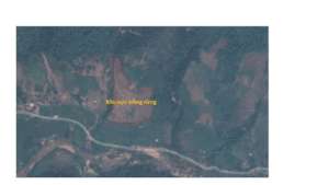 Map of planting site.