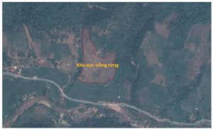 Map of the site for restoration