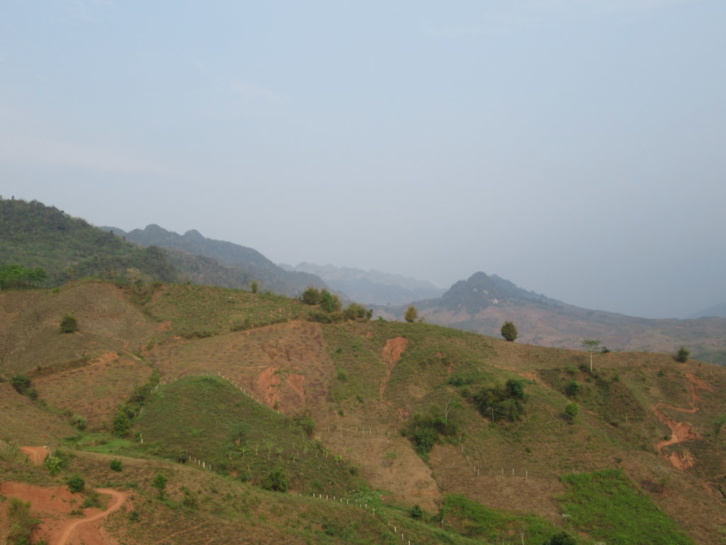 5000 seedlings for ethnic women to restore forests