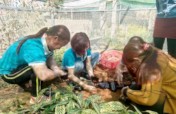5000 seedlings for ethnic women to restore forests