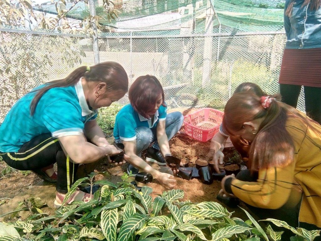 5000 seedlings for ethnic women to restore forests