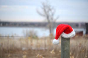 Merry Christmas and peace and healing in 2020.