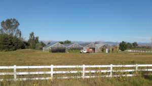 Farm field ready for fence work, near Longmont.