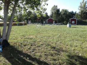 The on-farm workday begins at Cottonwood Farms