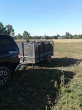 Drip tape pulled from fields & awaiting transport.