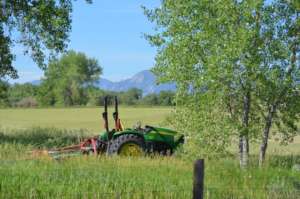 Farm tractor in field