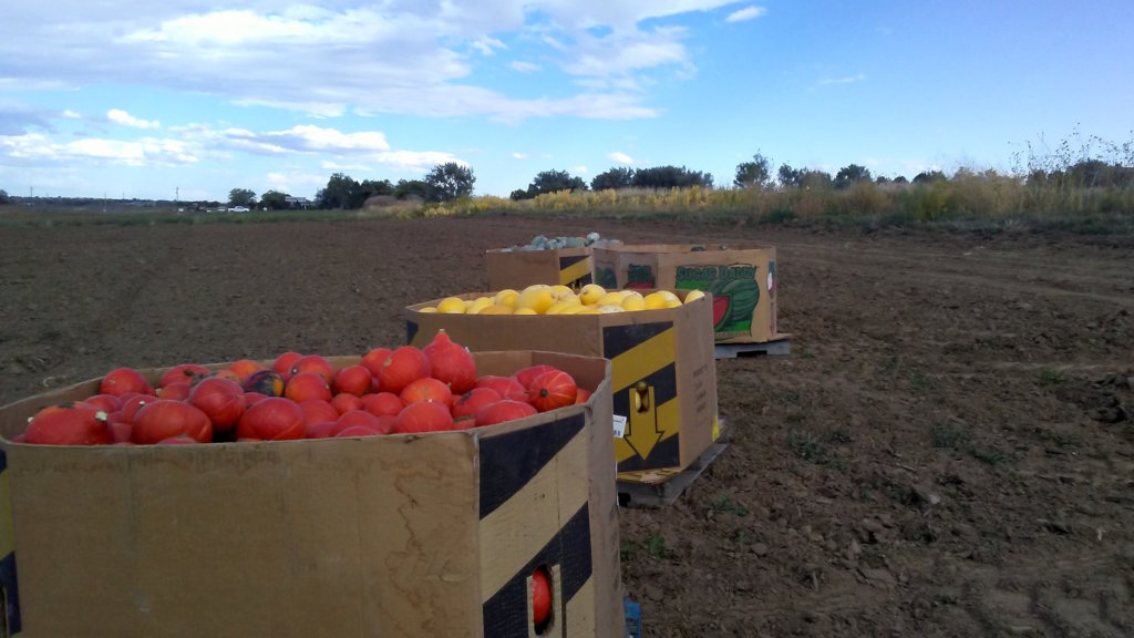 Help Provide Labor for Family Farms in Colorado