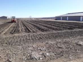 Hemp clean up